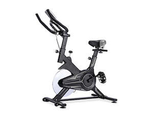 Internet only: Exercycle Bike