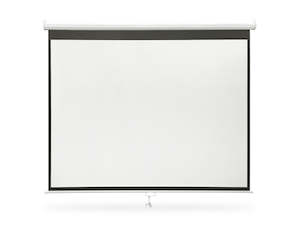 Projector Screen 100"