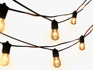 Festoon Light