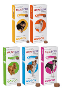 Bravecto Flea & Tick Chewable Treatment for Dogs