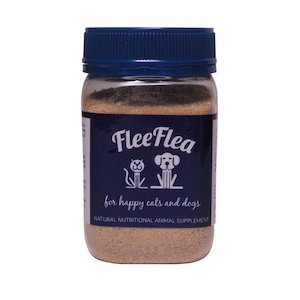 Store-based retail: FleeFlea