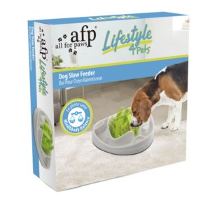 All For Paws Lifestyle Slow Feeder for Dogs