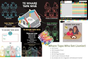 Children's Activity Set: Whare Tapa Whā Activity (Junior)