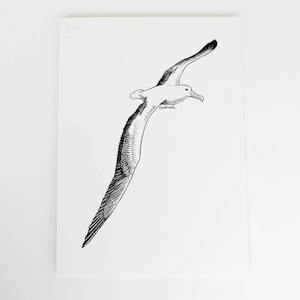 Albatross Art Print