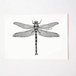 Dragonfly Art Print