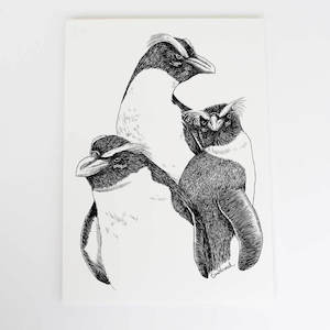 Fiordland crested penguin/tawaki Art Print