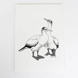 Screen printing: Gannet Art Print