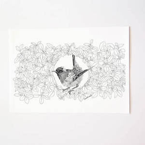 Hihi/Stitchbird Art Print