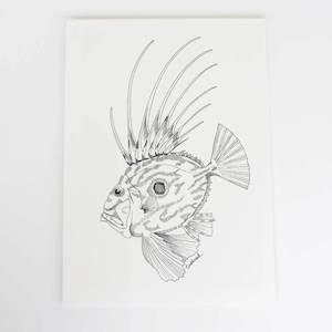 John Dory Art Print