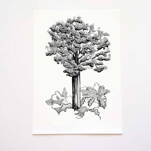 Kauri Art Print