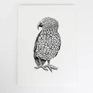 Kea Art Print