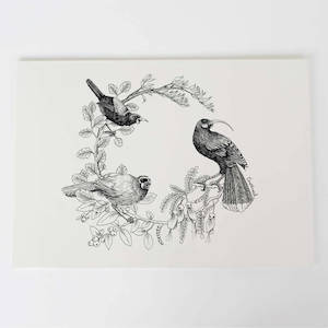 Kōkako huia saddleback/tīeke Art Print