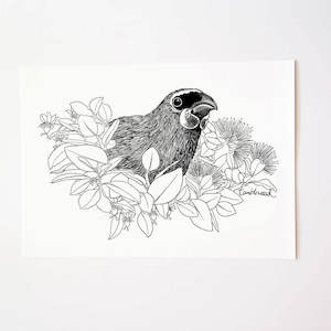 Kōkako Art Print