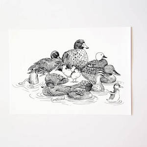 NZ Ducks Art Print