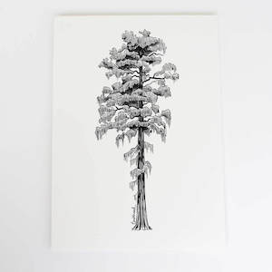 Rimu Art Print