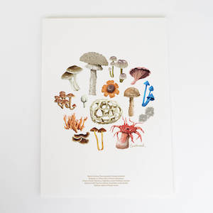 Screen printing: Fungi Colour Art Print