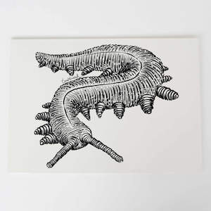 Screen printing: Peripatus Art Print