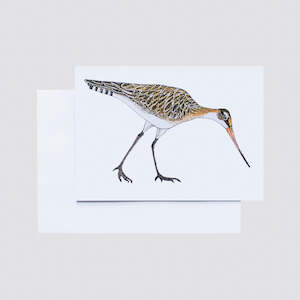 Brenda Hart. Greeting card | Bar Tailed Godwit