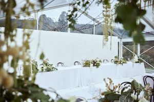 Marquee and tent hiring: FEATURE WALL - GROOVED - Event Hire - Twelve Tables