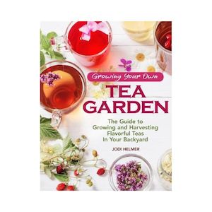 Growing your own Tea Garden - Jodi Helmer