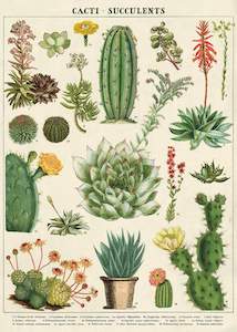 Cavallini Cacti & Succulents Poster Wrap