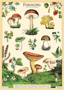 Cavallini Foraging Poster Wrap