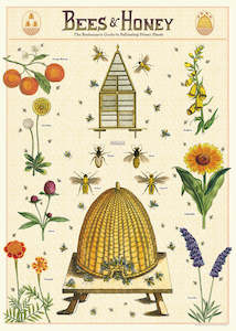 Florist: Cavallini Bees & Honey Poster Wrap