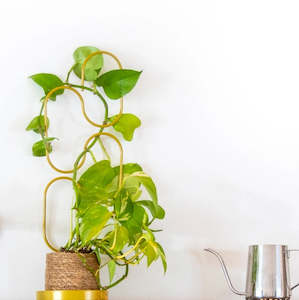 Florist: Esschert Design Plant Support & Saucer