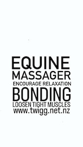 Equine Pet Person Massager Twigg Jewellery