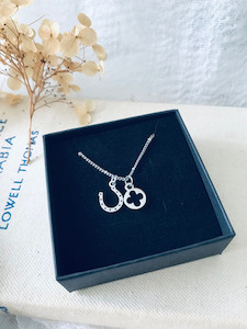 Horseshoe Clover Luck Necklace Twigg Jewellery