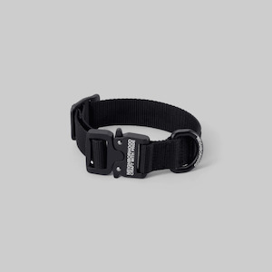 Clothing: Dog Collar - Black