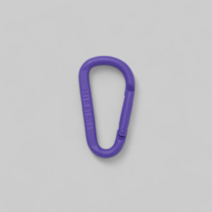 Carabiner - Purple