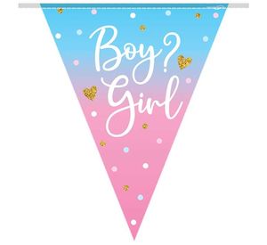 Gender reveal Boy or Girl Bunting