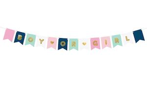 Boy or Girl Gender Reveal Baby Shower Banner