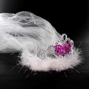 Veils: Flashing! Hen Party Veil and Tiara