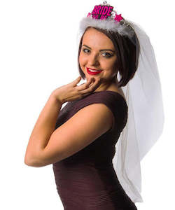 Hen Party Veil and Tiara