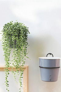 Plant, garden: Self-Watering Pot Set - Pot & Metal Hanger