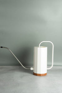 Plant, garden: Athens Watering Can - White