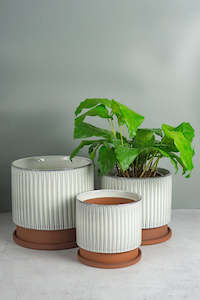 Brooke Ceramic Planter