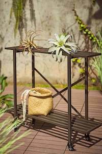 Erik 2 Tier Metal Plant Stand - Charcoal