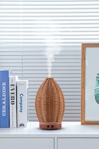 Amazonia Air Humidifier and Diffuser with Night Light