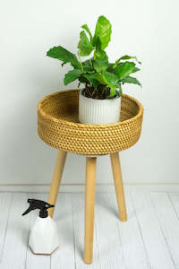 Kirana Rattan Side Table & Plant Stand