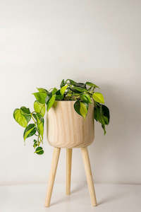 Plant, garden: Paulownia Wooden Plant Cover Pot with Stand 21cm