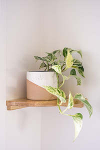 Plant, garden: Solid Wood Wall-Mounted Wooden Corner Shelf (Three Installation Options) - Natural