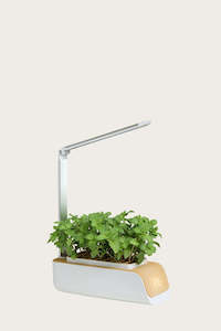 Smart Indoor Hydroponics Grow Kit with LED Grow Lights