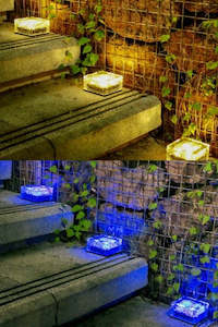 Plant, garden: Waterproof Solar Garden LED Light Large - Set of 3