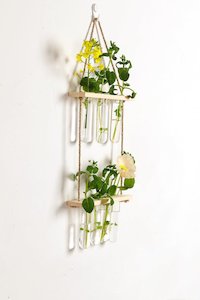 Plant, garden: 2 Tier Wall Hanging Test Tube Propagation Station - Natural