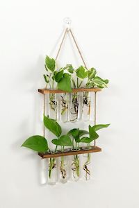 2 Tier Wall Hanging Test Tube Propagation Station - Brown