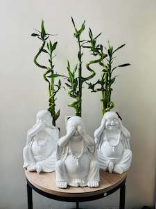 Buddha 3 Set