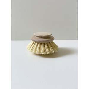 Replacement Brush Head For Tampico Fibre Brush 50mm